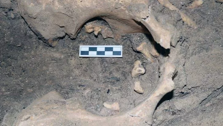 Cin Tepesi (gırnavaz Höyüğü)