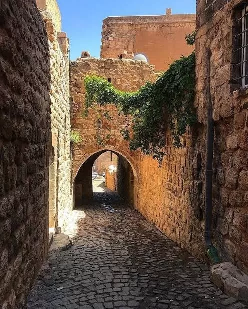 Abbaralar